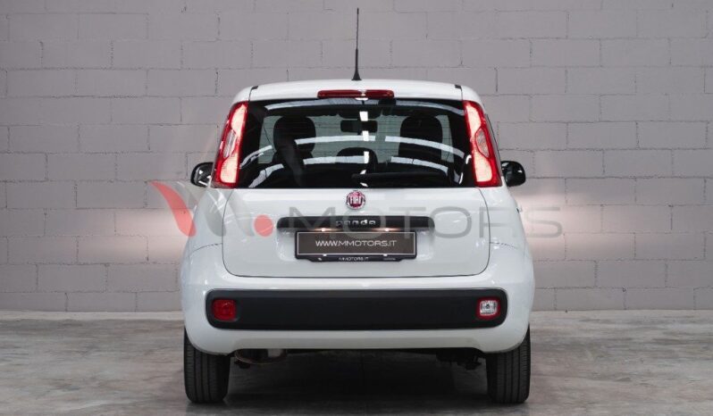 FIAT Panda 1.2 EASY 70 CV  SOLO 21.300 KM  PARI AL NUOVO pieno